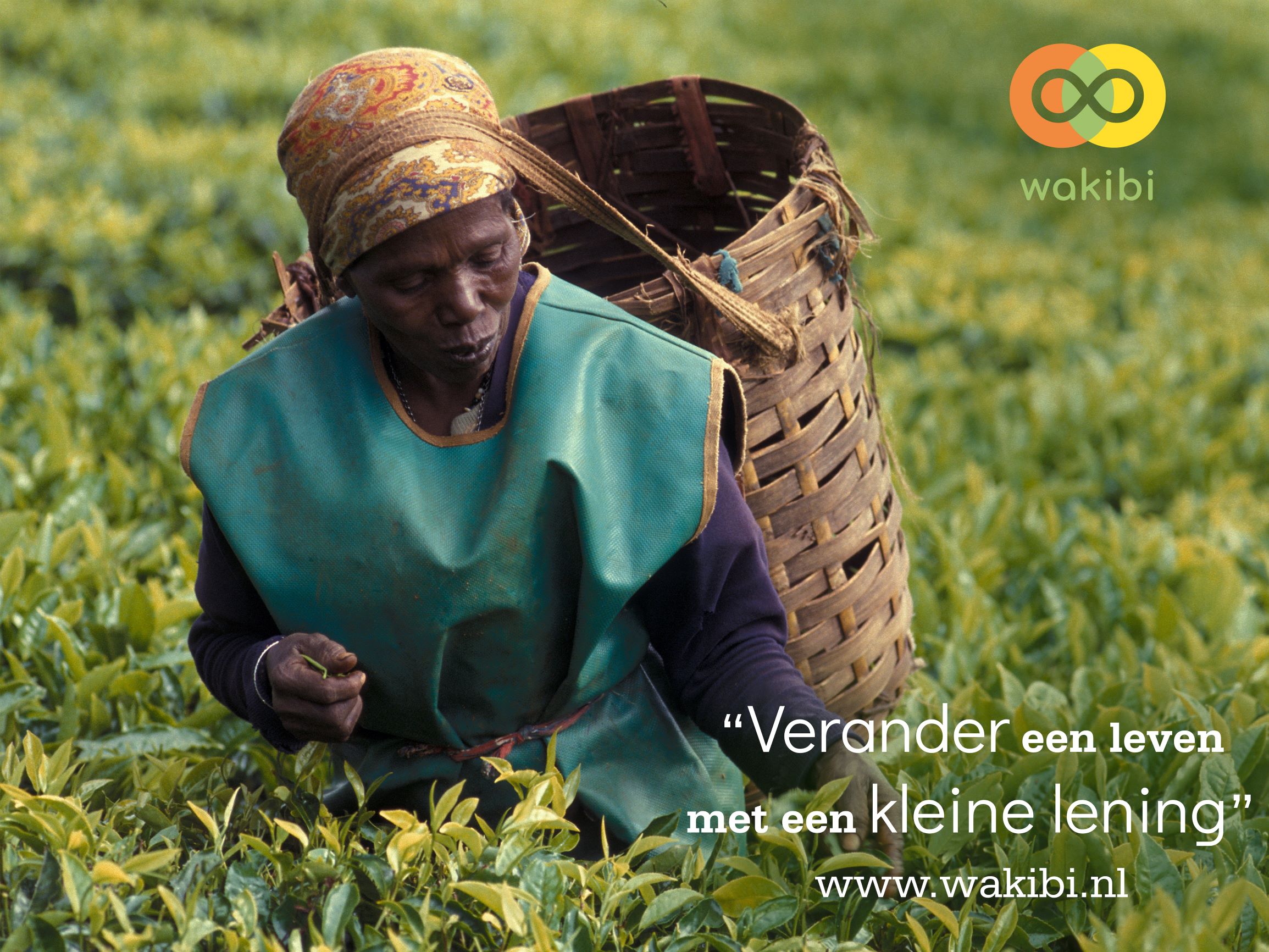 Q-logic en Wakibi gaan 3-jarig partnership aan